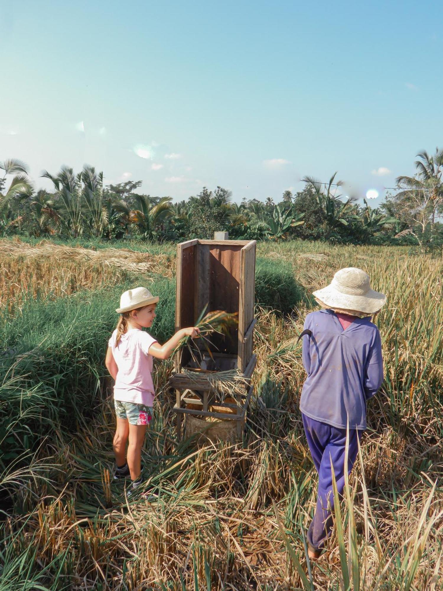 شقة Bali Palms Selemadeg المظهر الخارجي الصورة