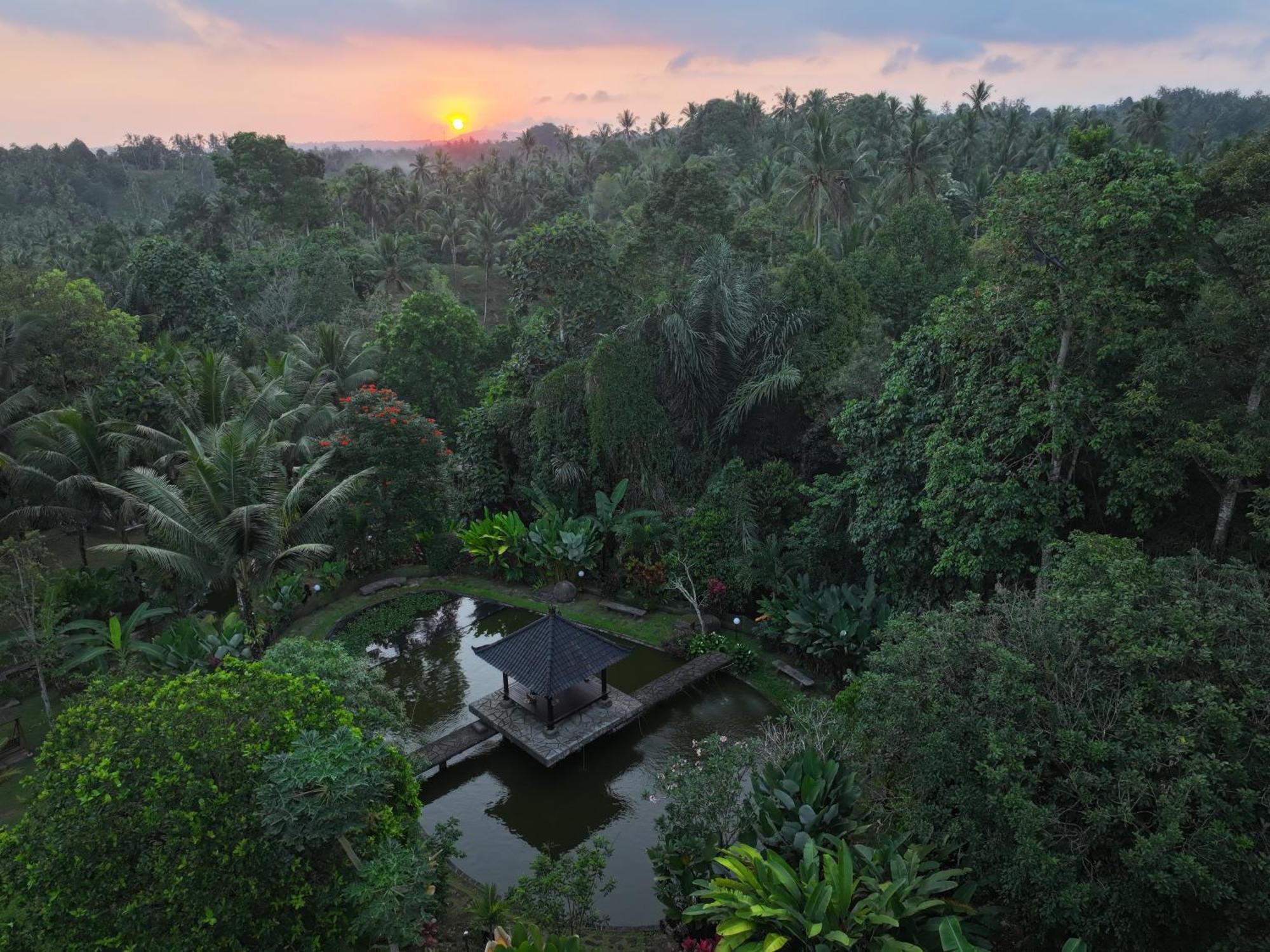 شقة Bali Palms Selemadeg المظهر الخارجي الصورة