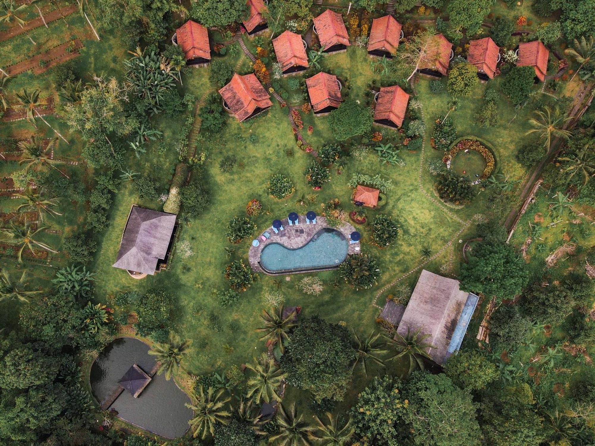 شقة Bali Palms Selemadeg المظهر الخارجي الصورة